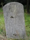 image of grave number 543834
